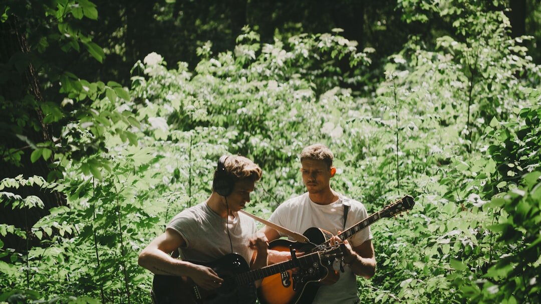 folk musicians playing guitar